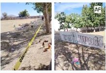 La Iglesia Católica condena ola de violencia en México; exige protección de la vida y espacios sagrados