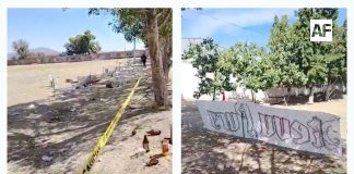 La Iglesia Católica condena ola de violencia en México; exige protección de la vida y espacios sagrados