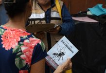 Continúa Salud Colima con acciones para disminuir criaderos del mosco transmisor del dengue en zonas de riesgo