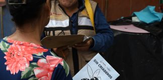 Continúa Salud Colima con acciones para disminuir criaderos del mosco transmisor del dengue en zonas de riesgo