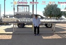 Autoridades federales detienen en Sonora a hombre que transportaba más de 200 kilos de metanfetamina