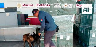 Autoridades federales aseguran cerca de 20 toneladas de tabaco ilegal en el AICM