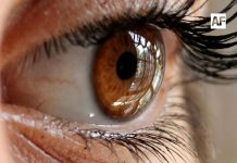 Expertos alertan sobre trauma ocular infantil en México: el 90% de los casos son prevenibles