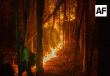 Avanza con resultados positivos la quema prescrita en Quesería; continuará hasta el 27 de febrero