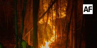 Avanza con resultados positivos la quema prescrita en Quesería; continuará hasta el 27 de febrero