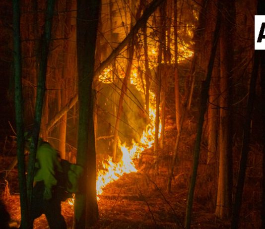 Avanza con resultados positivos la quema prescrita en Quesería; continuará hasta el 27 de febrero