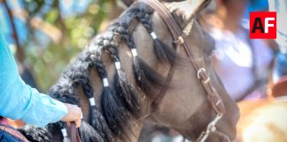 Suspenden Cabalgata Diurna y actividades de este domingo en las Fiestas de Villa de Álvarez por motivos de seguridad