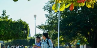 Casi 28 mil estudiantes regresan a las aulas universitarias