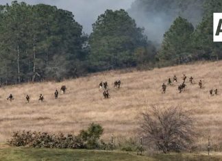FGR confirma identificación genética de “El Mencho” y realiza diligencias en Tapalpa
