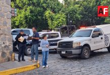 Fiscalía de Jalisco investiga envenenamiento de 17 de perros y 1 gato en Tapalpa