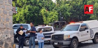 Fiscalía de Jalisco investiga envenenamiento de 17 de perros y 1 gato en Tapalpa