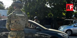 Marina y seguridad pública detienen a casi 649 infractores durante la “Operación Pez Vela”, en el estado