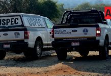 Jauría de perros habría matado a mujer adulta; encontrada en camino de terracería, al norte de Morelia