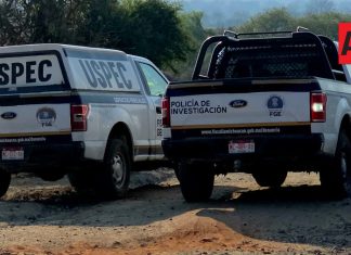 Jauría de perros habría matado a mujer adulta; encontrada en camino de terracería, al norte de Morelia