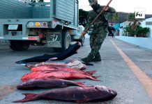 Marina y CONAPESCA aseguran embarcación y cargamento ilícito en la Reserva de la Biosfera Islas Marías