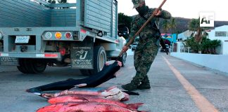 Marina y CONAPESCA aseguran embarcación y cargamento ilícito en la Reserva de la Biosfera Islas Marías