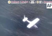 En Oaxaca aseguran avioneta y más de media tonelada de cocaína tras operativo federal