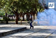 SS: Colima reporta cero casos de dengue y se posiciona entre los estados con menor incidencia