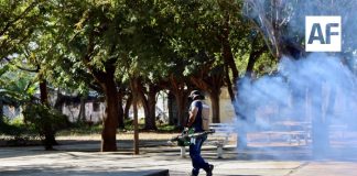 SS: Colima reporta cero casos de dengue y se posiciona entre los estados con menor incidencia