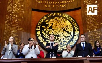 Nuestra Carta Magna es el pilar de la democracia: Indira Vizcaíno