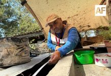 Salud Colima intensifica control larvario en Manzanillo, Tecomán y Armería