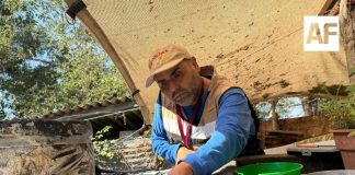 Salud Colima intensifica control larvario en Manzanillo, Tecomán y Armería