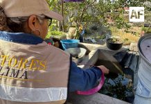 Salud Colima refuerza control larvario en zona conurbada y municipios costeros