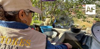 Salud Colima refuerza control larvario en zona conurbada y municipios costeros