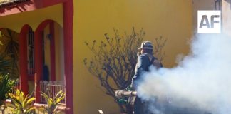 Salud Colima refuerza acciones contra el dengue con termo-nebulización en 4 municipios