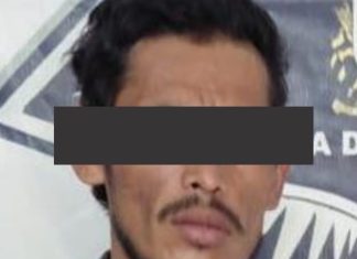 Detiene la Policía de VdeA a presunto ladrón de casas