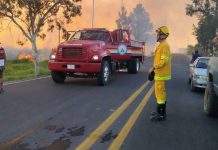 Activan Emergencia Atmosférica en Zapotlán El Grande y Gómez Farías por incendio en la Laguna