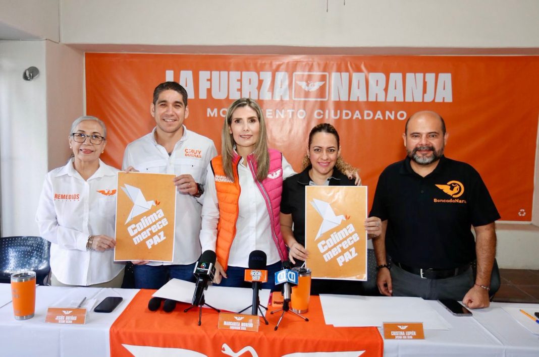 movimiento ciudadano 25 febrero
