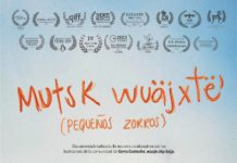 Canal 12 de Colima transmitirá parte de la 6ª Muestra de Cine en Lenguas Originarias del Imcine