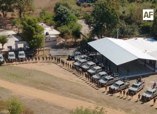 Aseguran explosivos y desmantelan narcocampamentos en Concordia, Sinaloa; durante operativos de búsqueda