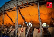 Villa de Álvarez mantiene suspensión de actividades en el Recinto Ferial; servicios públicos operarán con normalidad