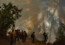 Quema prescrita en Ejido Quesería transcurre bajo control: Conafor e Imades