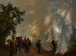 Quema prescrita en Ejido Quesería transcurre bajo control: Conafor e Imades