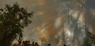 Quema prescrita en Ejido Quesería transcurre bajo control: Conafor e Imades