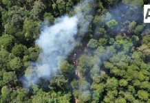 Gobierno del Estado y Conafor realizarán quema prescrita en Quesería para proteger bosques en las faldas del Volcán de Colima