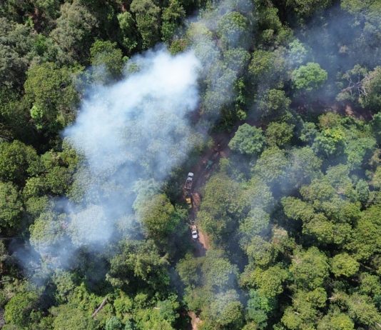 Gobierno del Estado y Conafor realizarán quema prescrita en Quesería para proteger bosques en las faldas del Volcán de Colima