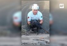 Protección Civil Colima rescata a dos caninos atrapados en el río Manrique