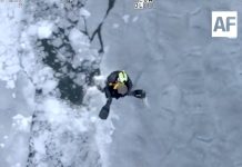 Helicóptero del NYPD rescata a tres personas tras caer a aguas heladas en Queens