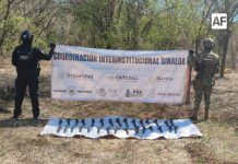 Marina asegura 30 artefactos explosivos improvisados en Concordia, Sinaloa