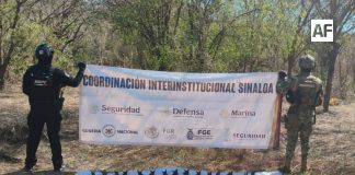 Marina asegura 30 artefactos explosivos improvisados en Concordia, Sinaloa