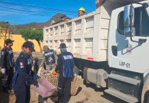 Semar se une a la lucha contra el dengue en Manzanillo con jornada de descacharrización