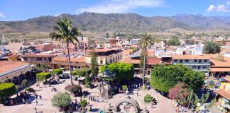 Saldo blanco en el Operativo Candelaria 2026 en Talpa: Protección Civil Jalisco reporta atención a miles de peregrinos