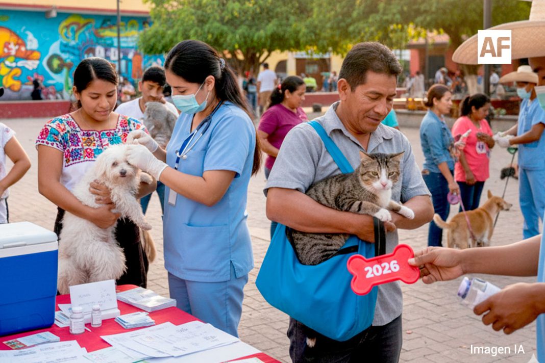 vacunacion-contra-rabia-colima-ia