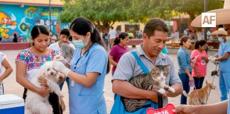 Virus de la rabia mantiene circulación activa en fauna silvestre y ganado; importante la vacunación: Secretaría de Salud