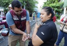 Salud Colima: del 24 al 28 de marzo se instalan 126 puntos de vacunación antirrábica en todo el estado; la vacuna es gratuita y segura