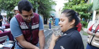 Salud Colima: del 24 al 28 de marzo se instalan 126 puntos de vacunación antirrábica en todo el estado; la vacuna es gratuita y segura